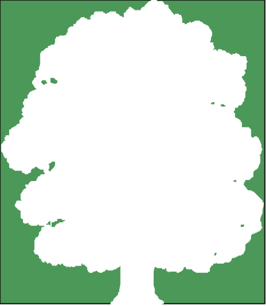 The image shows a simple black and white illustration of an evergreen tree with its branches extending outward from the trunk to form a canopy atop it.
