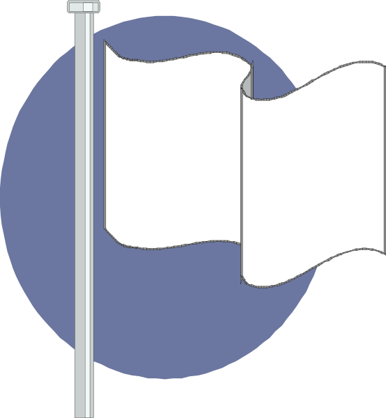 The image shows a flag on top of two poles with different designs: one is blue and white while the other has red stripes; there's also an icon that resembles Facebook to its right, indicating social media presence.