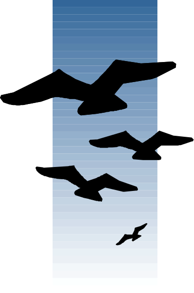 The image shows a group of birds flying against an overcast sky with clouds that have been digitally altered to resemble airplanes in flight.