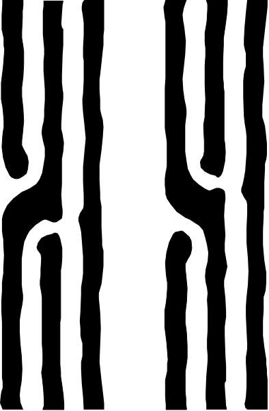 The image shows a black and white striped pattern with no discernible content to identify.