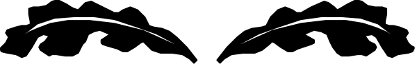 The image shows a gray background with two black lines that appear to be eyebrows above an eye shape on the right side of the frame.