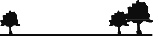 The image shows a black line with text on it against an indistinct background.