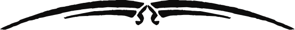 The image shows a black line on an otherwise grey background with no other discernible content to provide details about.