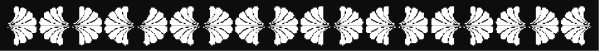 The image shows a gray background with white flowers arranged along its length on both sides of an unseen center line that runs horizontally across it.