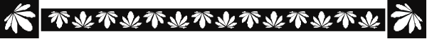 The image shows a black border with white floral designs along its length at top of an otherwise plain gray background.
