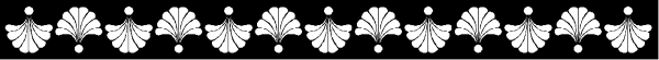 The image shows a row of white flowers with green stems against a gray background.