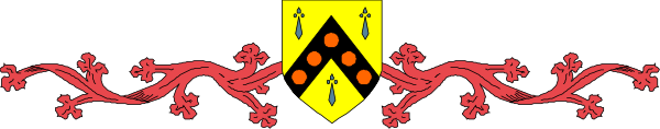 The image shows a red ribbon with an intricate floral design on it against a gray background.