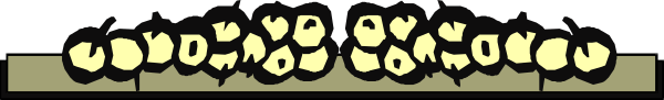 The image shows a long line of yellow dots on top of each other against a gray background with no additional context provided about their nature or purpose.