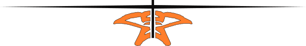 The image shows a logo with an orange design on it against a grey background.