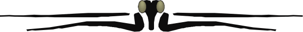 The image shows a gray background with two black birds perched on top of each other near what appears to be an electrical wire in silhouette form against this backdrop.
