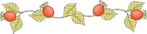 The image shows a decorative border with red berries on either side of gold leaves connected by green stems atop what appears to be an olive branch design in black ink against a light grey background.