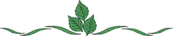 The image shows a green plant growing out of an empty planter with leaves on it against a gray background.