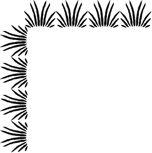 The image shows a black square with white lines forming an abstract design that resembles leaves on branches against a dark background.