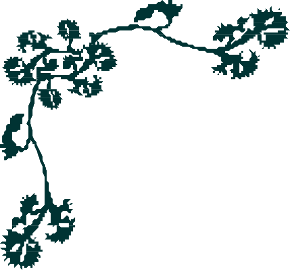 The image shows a black background with an intricate white floral design that resembles branches of flowers extending from both sides towards each other in the center where there is no flowering plant depicted on it.