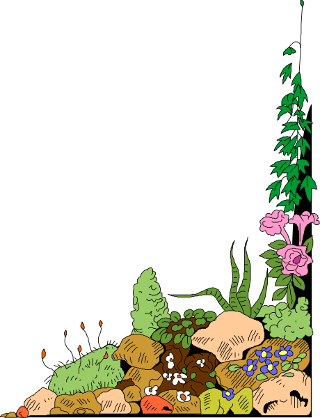 The black and white illustration shows a garden scene with various plants, rocks, flowers, and possibly some small creatures like insects in it.