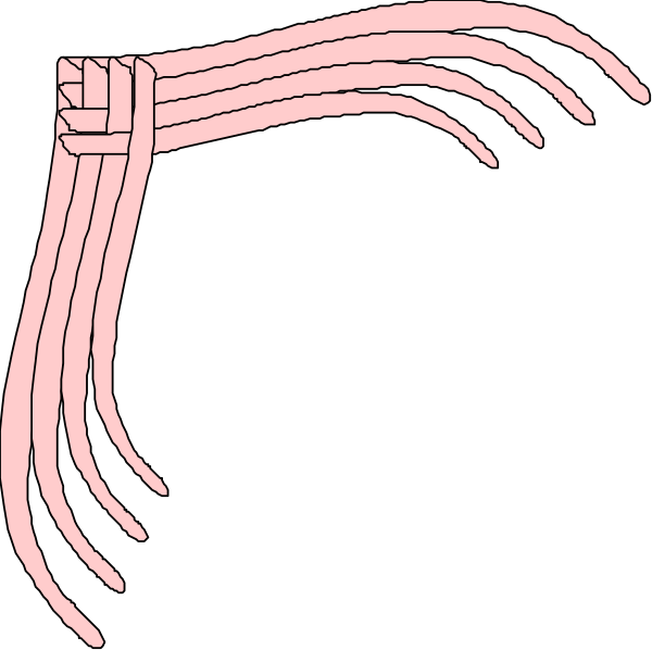The image shows a simple line drawing of two human hands with fingers extended outward against a black background.