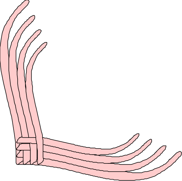 The image shows a simple line drawing of two pink ribbons tied together with white loops at their ends against a black background.
