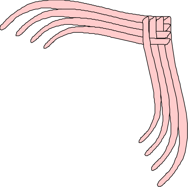 The image shows a simple line drawing of an abstract figure with long hair that resembles spaghetti strands against a black background.