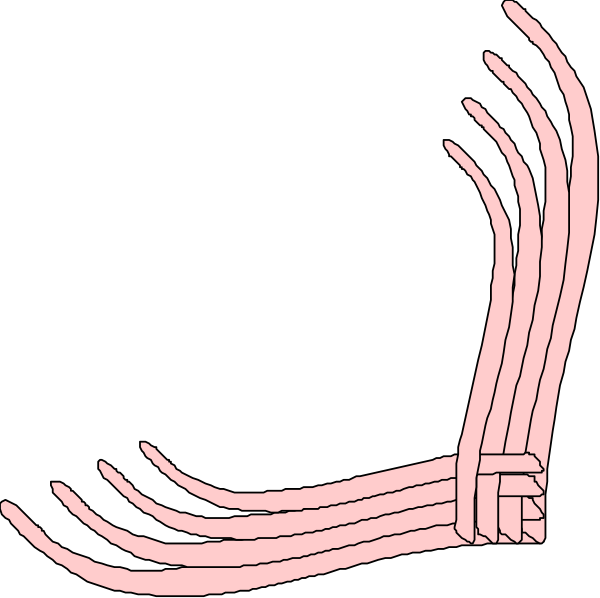 The image shows a simple line drawing of two pink ribbons tied together with an X shape at their ends against a black background.