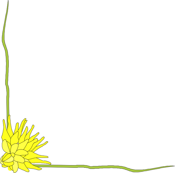 The black background features a yellow flower with multiple petals on its right side at bottom center of frame.