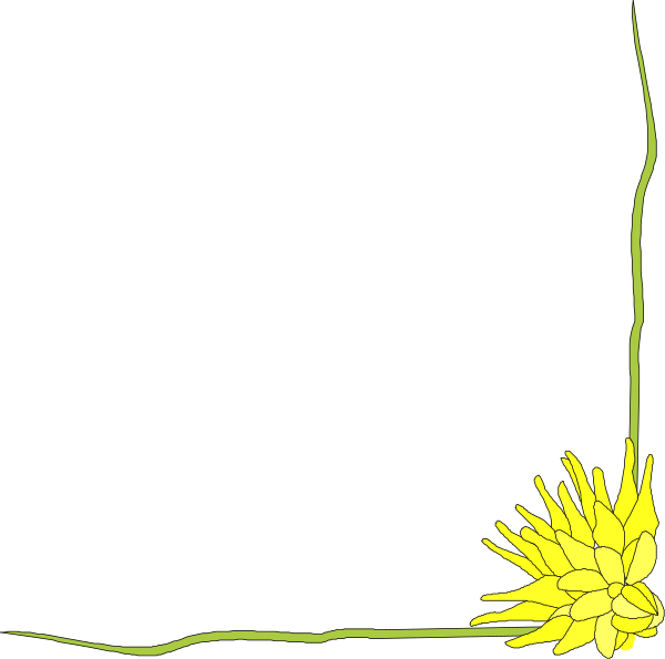 The black background features a yellow flower with green leaves on its right side at top of frame.