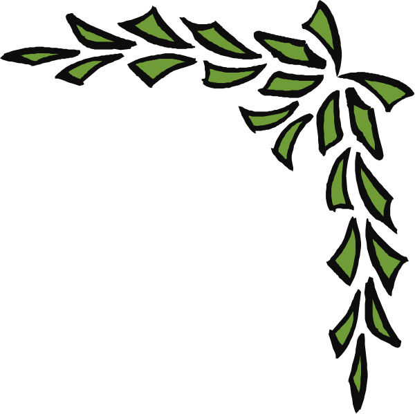 The black background features a white outline of an olive branch with green leaves on either side.