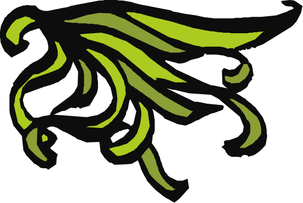 The image shows a stylized graphic of an animal with green wings on its back flying over what appears to be water, depicted in black ink against white paper.