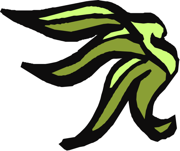 The image shows a stylized graphic of an abstract bird with wings spread out against a black background; it is colored in shades of green and yellow on one side and white on another.