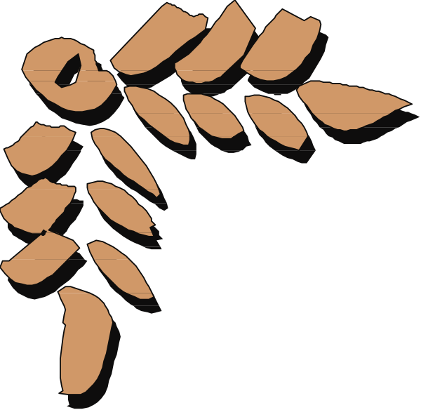 The image shows a black silhouette of an octopus with eight tentacles against a white background.