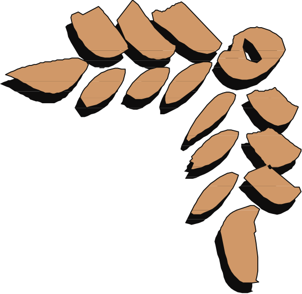 The image shows a black silhouette of an orange flower with six petals against a white background.