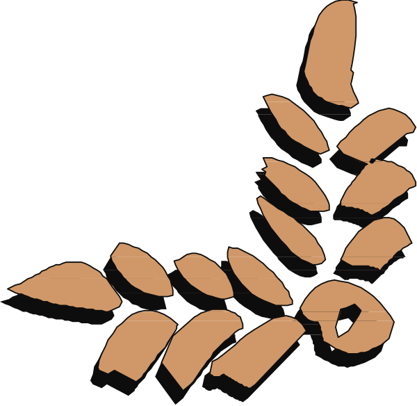 The black and white illustration shows a stylized depiction of an acorn with leaves attached to it on top left corner against dark background.