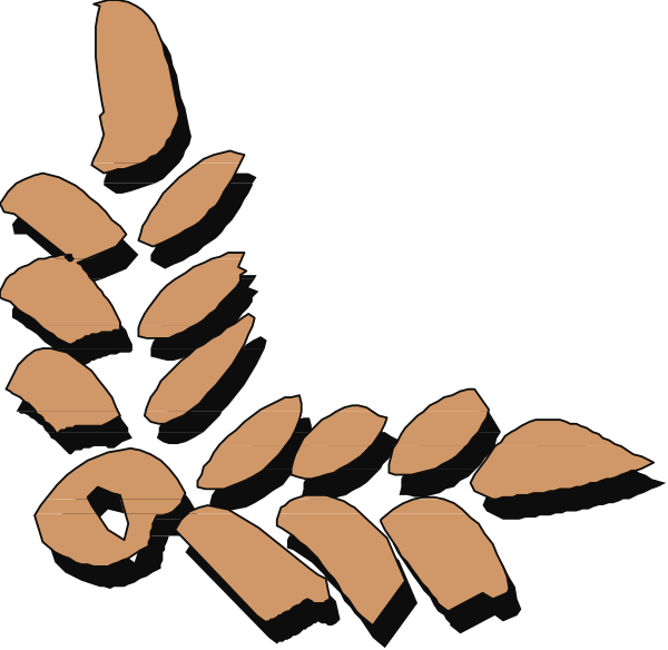 The black and white silhouette of a plant with leaves on it next to an orange flower shape.