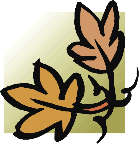 The image shows a stylized illustration of an autumn leaf with veins highlighted against a white background on top left corner; below it is another similar leaf in orange coloring next to two green leaves that appear slightly out-of-focus, suggesting depth or perspective.