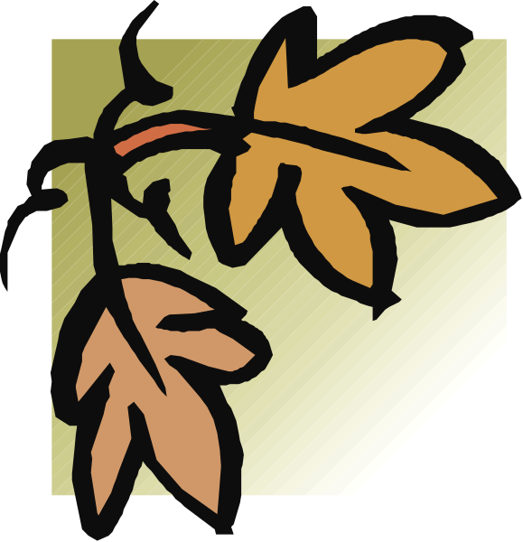The image shows a simple illustration of two leaves with stems against an orange background on top left corner; below them is another leaf in brown coloring at bottom right corner.