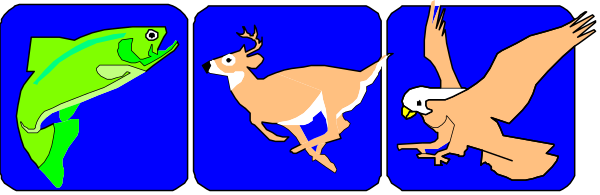 The image shows a banner with four different scenes: on top left there is an eagle flying over water; bottom right features two birds perched together in front of trees; middle left depicts three fish swimming underwater, and bottom center displays a bird standing next to another one that appears dead.