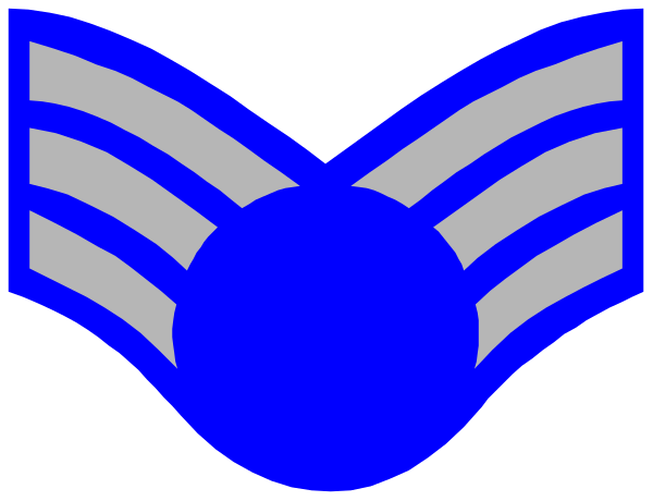 The image shows a stylized graphic of an emblem with wings on either side, resembling those found on military insignia; it is predominantly blue in color against a white background.