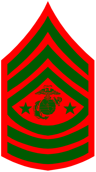 The image shows a graphic representation of an American flag patch on a military uniform with red stripes around it against a gray background.