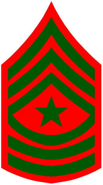 The image shows a stylized emblem of an army insignia with red stripes on green background inside what appears to be a shield shape within another larger rectangle that has two vertical lines forming its sides, resembling military decoration.