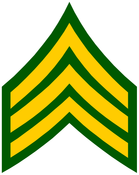 The image shows a graphic representation of an army emblem with stripes on it against a black background.