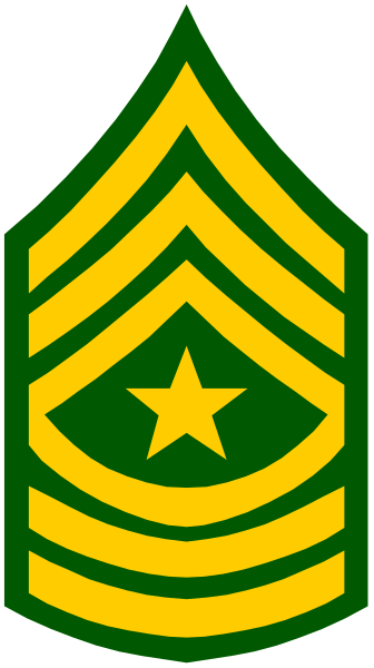 The image shows a stylized emblem with an eagle's head on top of two crossed swords; below them is a shield featuring stars within it.