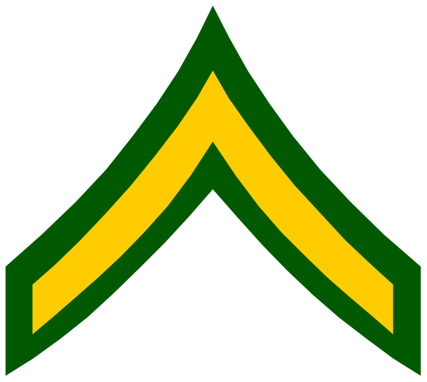 The image shows a stylized emblem with an arrowhead design at its center, featuring two vertical lines that meet in a point above a horizontal line; it is colored green on top half of each side and yellow below, resembling military insignia or logo.
