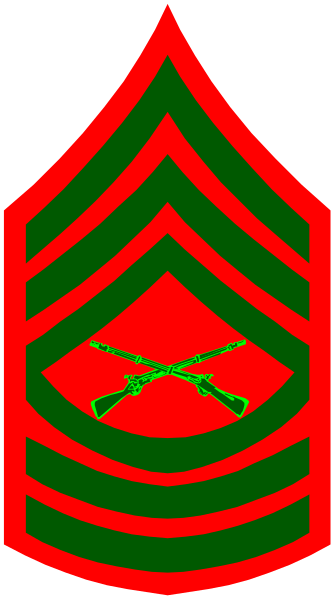 The image shows a graphic representation of an emblem with red background featuring green border stripes on either side; at its center is a stylized depiction resembling a military insignia that includes crossed rifles, two swords pointing upwards and downward respectively from the top left corner to bottom right. The central figure has wings spread out behind it, suggesting motion or flight.
