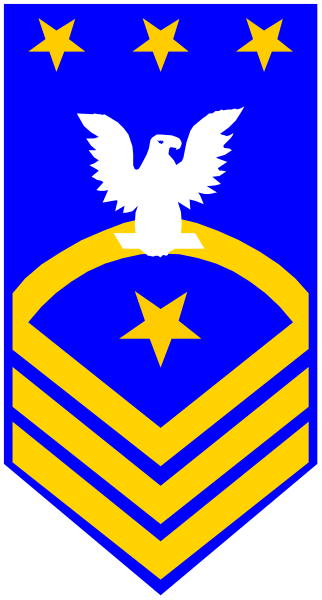 The image shows a blue flag with an emblem on it that includes stars, eagles, shields, and other military insignia; there is also text present in various parts of the design.