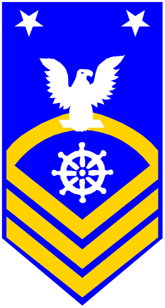 The image shows a blue flag with an emblem that includes a shield containing two crossed anchors on either side of what appears to be a compass rose at its center; above this is a white eagle holding arrows in each claw, and below it there's text reading "SEA SCOUTS" along the bottom edge. The flag has yellow borders with blue stars inside them near both corners.