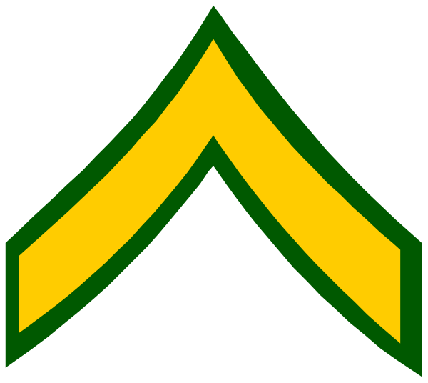 The image shows a stylized graphic of an emblem with two crossed swords forming an 'X' shape atop each other within what appears to be a shield-like border; this is set against a plain background and does not depict any people, animals or actions taking place in the depicted setting.