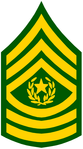 The image shows a stylized emblem with an eagle's head on top of two crossed swords; below them is a shield bearing stars and stripes in green and yellow hues against a white background, resembling that of certain military insignias or badges.
