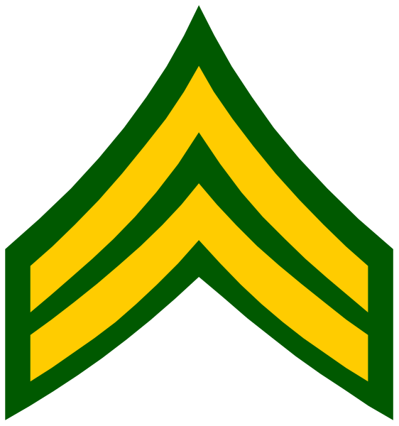 The logo of a military branch with an arrowhead shape on top featuring two crossed swords inside it.