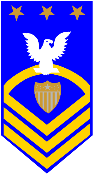 The image shows a blue flag with an emblem featuring a shield on it, flanked by two eagles holding arrows in their talons; above this is another bird that appears to be an American bald eagle.