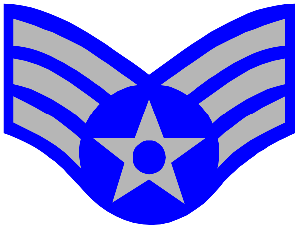 The image shows a graphic of an air force emblem with stars on it against a white background.