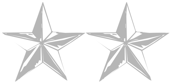 The image shows a collection of five silver stars with points facing upwards against a plain background.